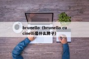 brunello（brunello cucinelli是什么牌子）