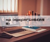 mjp（mjpeg160*128格式的视频）