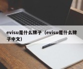 evisu是什么牌子（evisu是什么牌子中文）