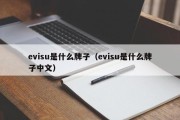 evisu是什么牌子（evisu是什么牌子中文）