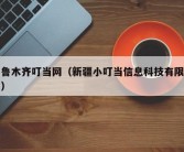 乌鲁木齐叮当网（新疆小叮当信息科技有限公司）