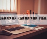 边伯贤高清图片（边伯贤高清图片 卡通图片）