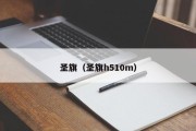 圣旗（圣旗h510m）