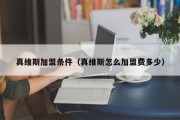 真维斯加盟条件（真维斯怎么加盟费多少）