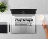 choy（choya）