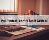 内衣下的秘密（有个内衣叫什么的秘密）