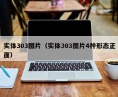 实体303图片（实体303图片4种形态正面）