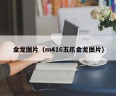 金龙图片（m416五爪金龙图片）