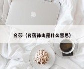 名莎（名落孙山是什么意思）