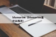 blumarine（blumarine是什么档次）