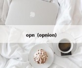 opn（opnion）