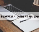 宋慧乔发型图片（宋慧乔发型图片 后裔）