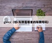 guicc（桂c车牌是哪里的车牌号码）