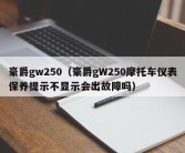 豪爵gw250（豪爵gW250摩托车仪表保养提示不显示会出故障吗）