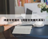 鸿星尔克图片（鸿星尔克图片真实）