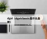 dgvi（dgviclassic是什么品牌）