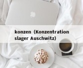 konzen（Konzentrationslager Auschwitz）