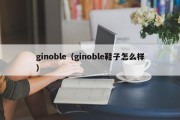 ginoble（ginoble鞋子怎么样）