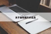 关于丽柜图片的信息