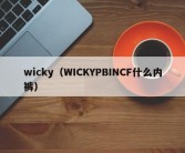 wicky（WICKYPBINCF什么内裤）