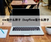 ow是什么牌子（bayflow是什么牌子）