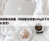 羽绒服充绒量（羽绒服充绒量100g以下什么意思）