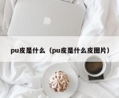 pu皮是什么（pu皮是什么皮图片）