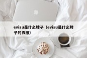 evisu是什么牌子（evisu是什么牌子的衣服）