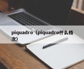 piquadro（piquadro什么档次）