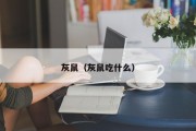 灰鼠（灰鼠吃什么）