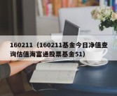 160211（160211基金今日净值查询估值海富通股票基金51）